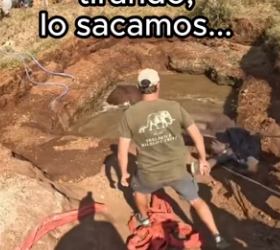 O0802003 Animales confían en nosotros (Parte 2)