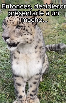 O0802008 Animales quieren vivir (Parte 2)