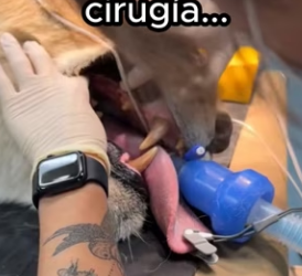 O0802001 Un rescate lleno de esperanza (Parte 2)