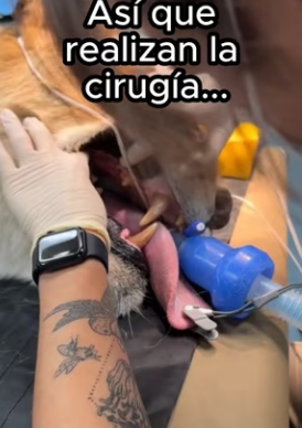 O0802001 Un rescate lleno de esperanza (Parte 2)