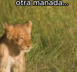 O0802006 La ayuda dio un nuevo camino (Parte 2)