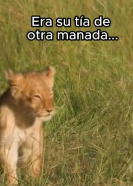 O0802006 La ayuda dio un nuevo camino (Parte 2)