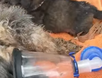 M0202002 Hoy gano el cuidado (Parte 2)