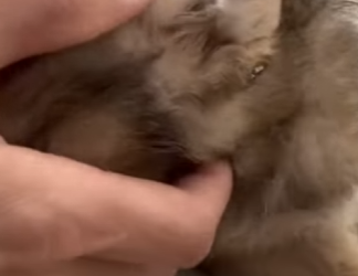 M0802018 Entre el hambre, los golpes y el frío… así fue mi vida hasta que alguien me rescató (Parte 2)