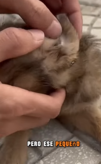 M0802018 Entre el hambre, los golpes y el frío… así fue mi vida hasta que alguien me rescató (Parte 2)