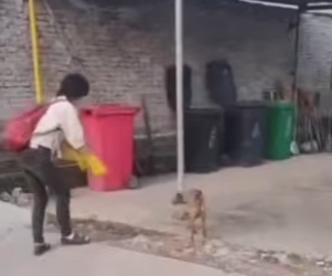 M1803001 💔“Sarna, dolor y abandono así vivía Sarampión hasta que alguien apareció” (Parte 2)