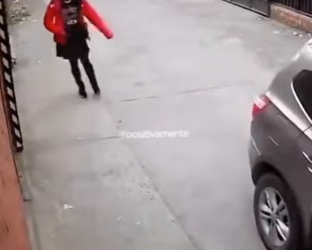 V1803011 Perro protege a una niña de un posible secuestro (Parte 2)