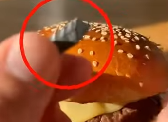 V1803006 😱 ¡Este gato salvó la vida de mi hijo! 🐱🍔 (Parte 2)