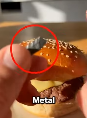 V1803006 😱 ¡Este gato salvó la vida de mi hijo! 🐱🍔 (Parte 2)