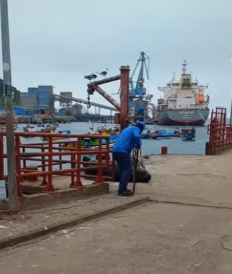 A1803011 The sea lion was eventually scared away by the stray dog (Part 2)