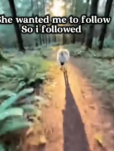 rescued wolf fami (Part 2)