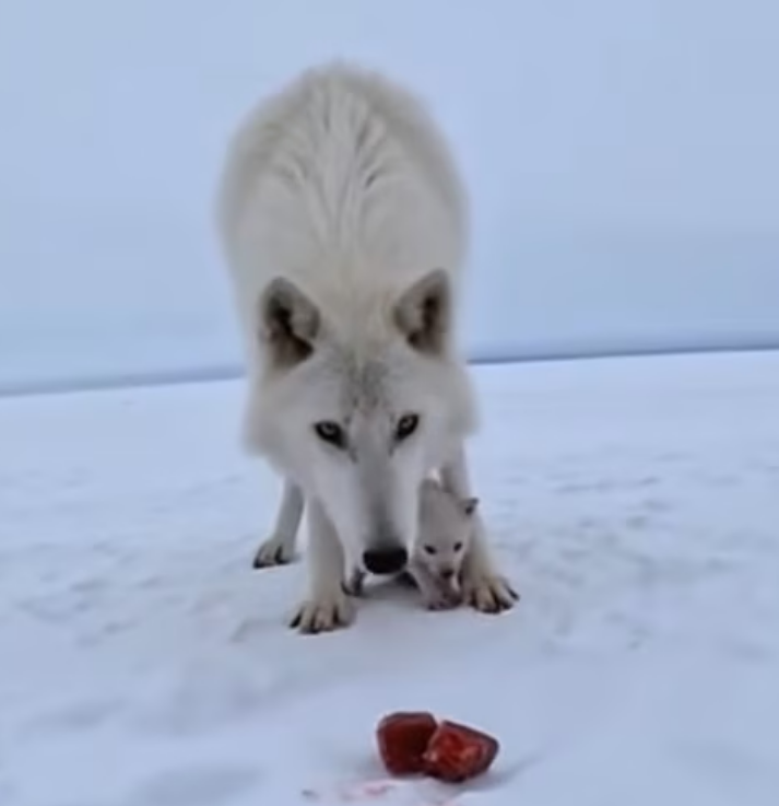 F0903010 His Mother Protect Him From His Father (Part 2)