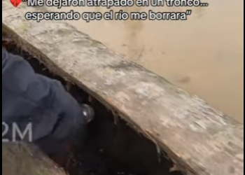 M1803008 💔“Me dejaron atrapado en un tronco… esperando que el río me borrara” (Parte 2)