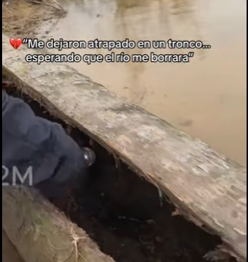 M1803008 💔“Me dejaron atrapado en un tronco… esperando que el río me borrara” (Parte 2)