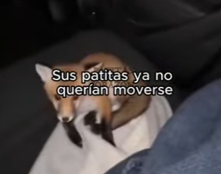 V0104004 Dado por muerto. Entonces ocurrió un milagro al estilo Kanye West (Part 2)