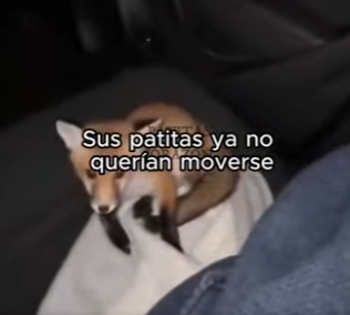 V0104004 Dado por muerto. Entonces ocurrió un milagro al estilo Kanye West (Part 2)