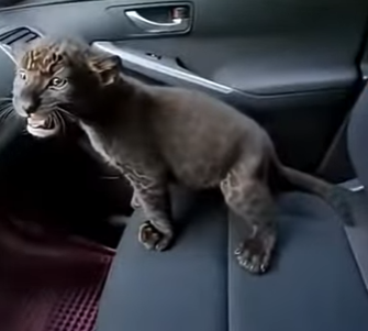 V0704006 💔Su propia madre no la quería 💔 (Part 2)