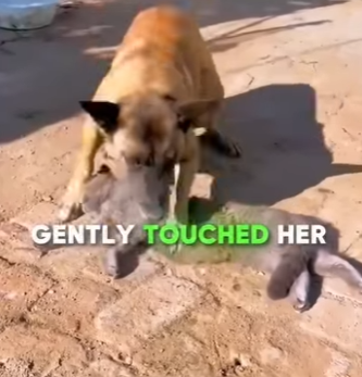 V0704004 ¿Por qué siguió esperando a su mejor amiga que nunca despertó (Part 2)