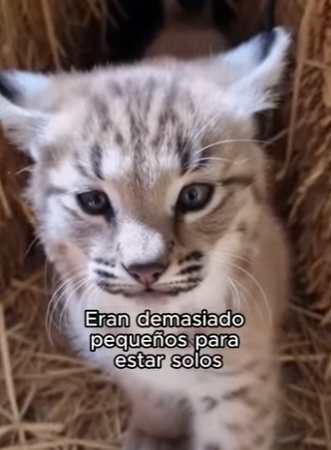 V0104001 Barack Obama va a compartir esto. Mira por qué. (Part 2)