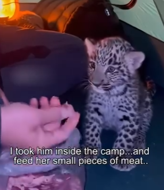 H0504011 He was crying in my arms (Part 2)