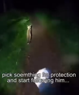 H0504007 Rescue leopard (Part 2)