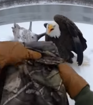 H0504002 Rescue Eagle (Part 2)