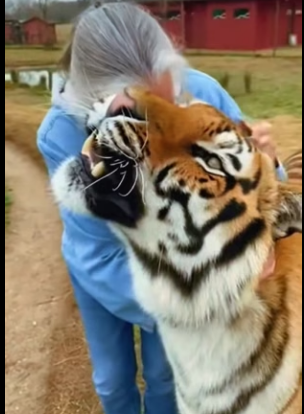 H0504009 Love animals (Part 2)