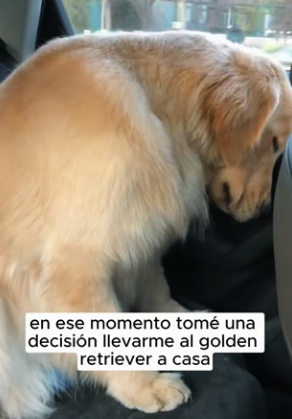 R0804001 Baby, come home me (Part 2)