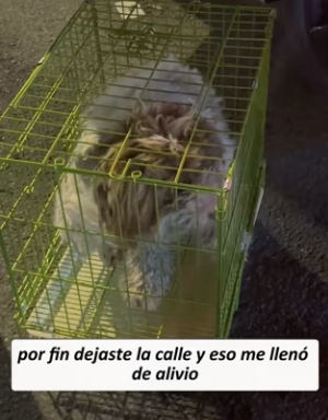 R0804006 When met you, it was raining heavily, you were wandering alone (Part 2)