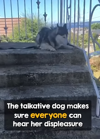 I0904007 Kylie Jenner would be breathless at this animal’s natural glow-up (Part 2)