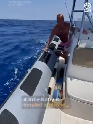 I0904009 Even Dua Lipa would be Levitating with joy after this transformation (Part 2)