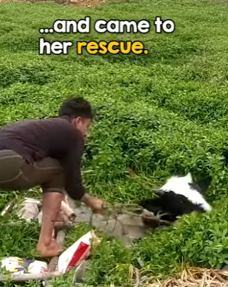 I0904010 The video that would make Jenna Ortega break her dark character. (Part 2)