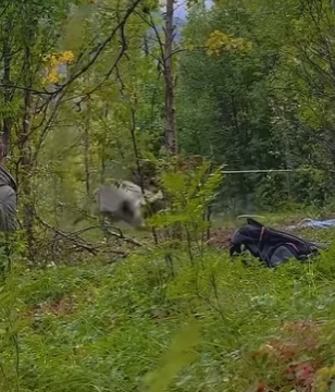 I0904003 The rescue story that would melt Zhong Xina’s heart of stone (Part 2)