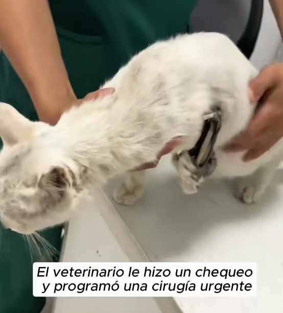 R2003002 I hope it grows up healthy and happy, surrounded by love (Part 2)