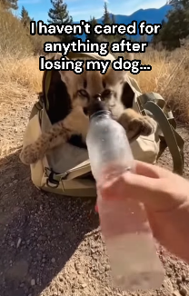 F0403007 Cried After Seeing Ending (Part 2)