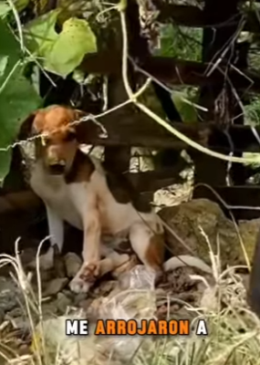 M0904009 💔 “Golpes y miedo…“un vaso roto cambió mi vida para siempre” (Part 2)