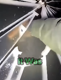 V0804001 El Lince Rescata Su Mejor Amigo Humano (Part 2)