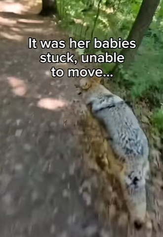 P0804004 MrBeast just found a miracle that doesn’t cost a penny (Part 2)