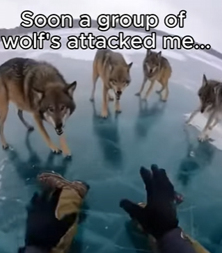 P0804002 Stephen Curry never made a shot as important as this life-save. (Part 2)