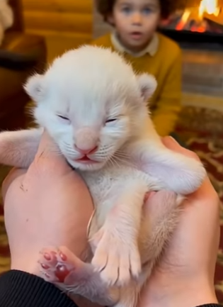 P0804001 WARNING This video will make Doja Cat stop and stare. (Part 2)