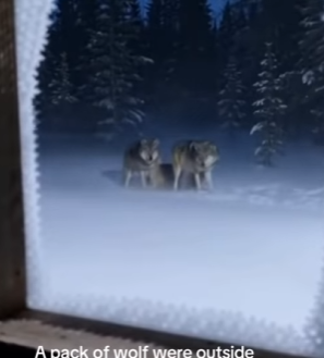 P0804005 The Before & After that would make Bella Hadid look twice. (Part 2)