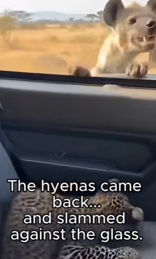 P0804003 Zendaya is stunned. Watch the transformation at 040! (Part 2)