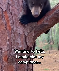 F0203007 Bear repaid me saving him (Part 2)