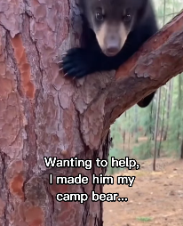 F0203007 Bear repaid me saving him (Part 2)