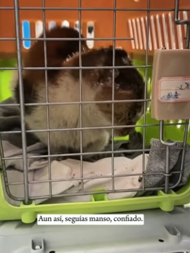 R1004012 rest of your life, let us love you well (Part 2)