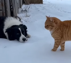 E2703007 Ketua oyenn 😍😂(Part 2)