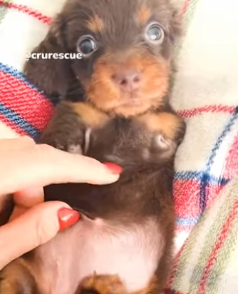 I1104003 The Before & After that would make Bella Hadid look twice. (Part 2)