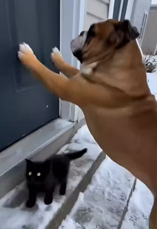 P0104008 Johnny Depp’s fans are losing it over this video (Part 2)