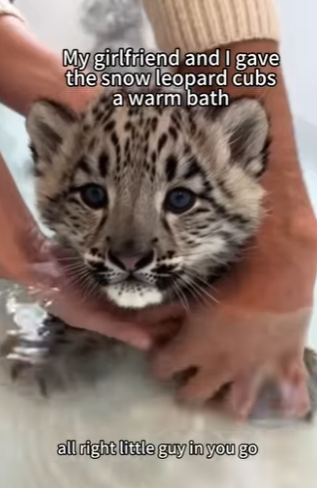 P0104001 Watch his tail wag for the first time. Tom Holland would smile. (Part 2)