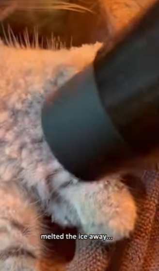 P0104010 Could you stay silent Ellen DeGeneres couldn’t. (Part 2)